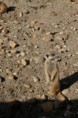 /album/fotogaleria-fotogaleria/dsc01455-jpg/